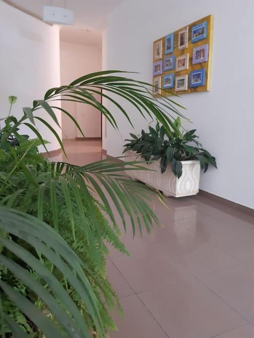 Apartamento Batalha - Quarteira, Algarve, Portugal Eksteriør bilde
