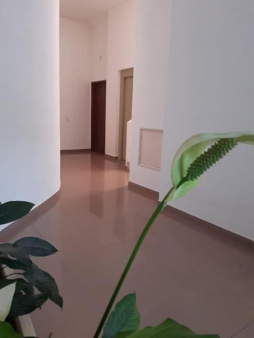 Apartamento Batalha - Quarteira, Algarve, Portugal Eksteriør bilde